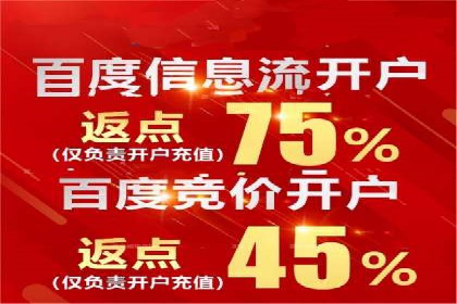 SEM专员的角色与成功案例解析